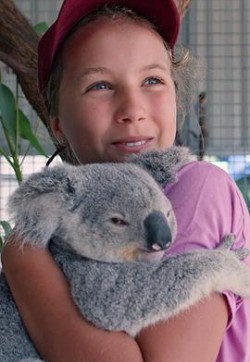 伊兹的考拉世界 第一季 Izzy's Koala World Season 1